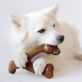 Benebone 2-Pack Fishbone & Wishbone Dog Chew Toy Bacon MD|20 PK