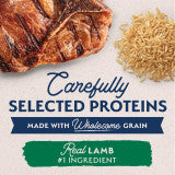 Natural Balance Pet Foods Limited Ingredient Canned Dog Food Lamb & Brown Rice 13oz (Pack of 12)
