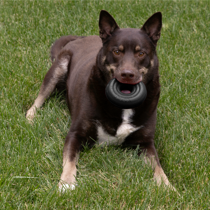 KONG Extreme Donut Dog Toy LG/XL - 10 - Image 13