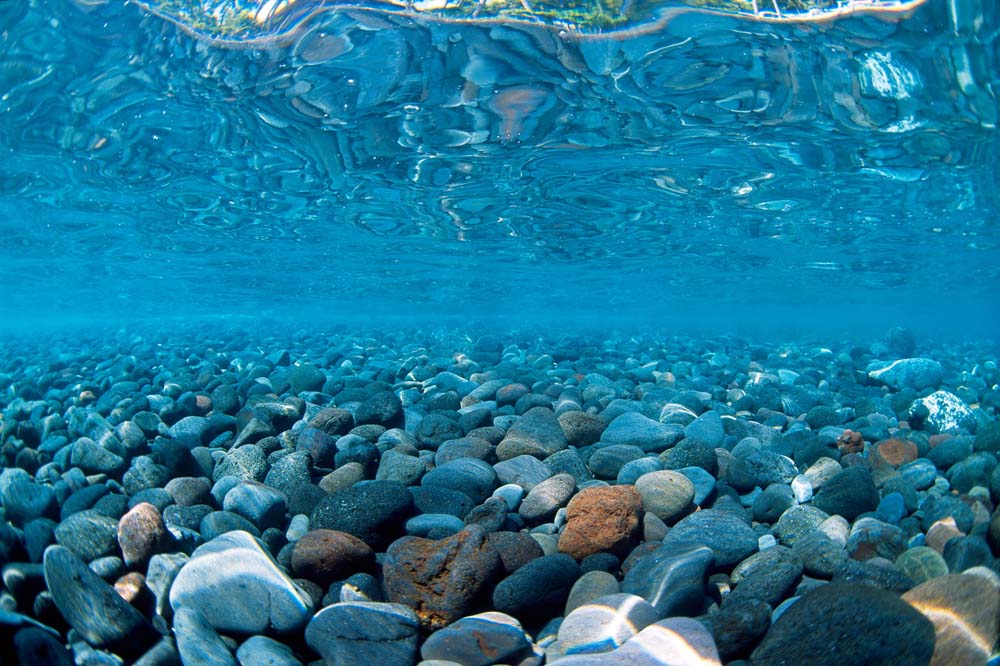 Seaview Double Sided Background River Rock & Sea of Green 18 Inches X 50 Feet - Image 2