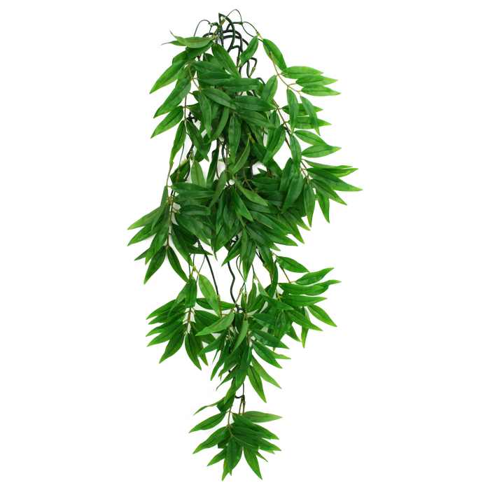 Komodo Bamboo Hanging Plant LG 26in