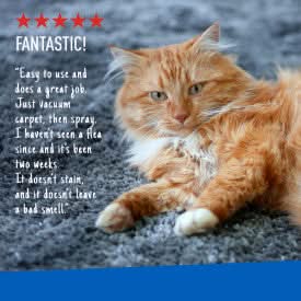 Adams Plus Flea & Tick Carpet Spray, For Indoor Use 16 Ounces