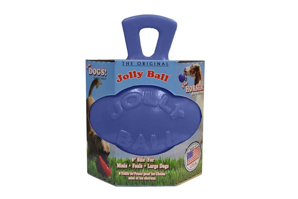 Jolly Pet Tug-n-Toss Dog Toy Blue 8in LG