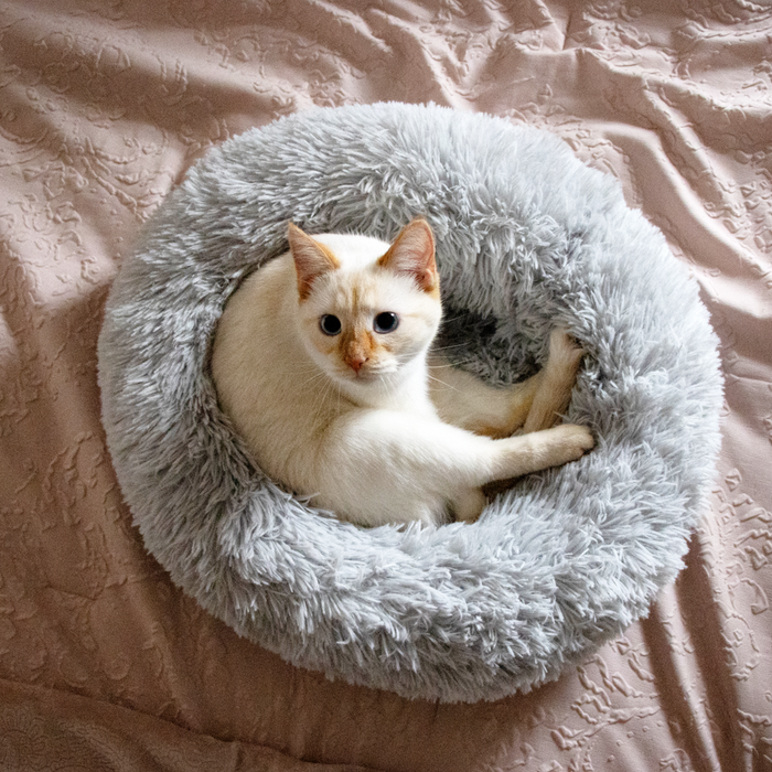 Jolly Pets Kitty Kasa Plush Donut Cat Bed