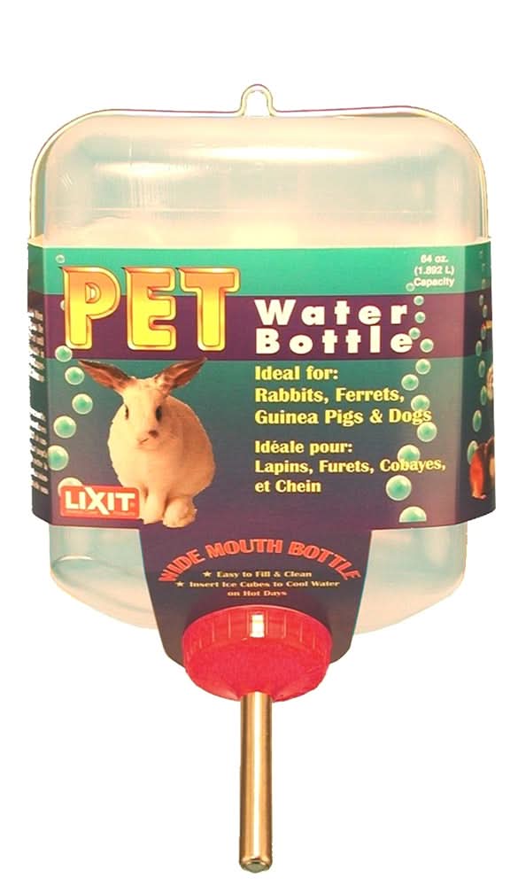 Lixit Square Opaque Water Bottle Rabbit White, Purple — AnimalWiz.com