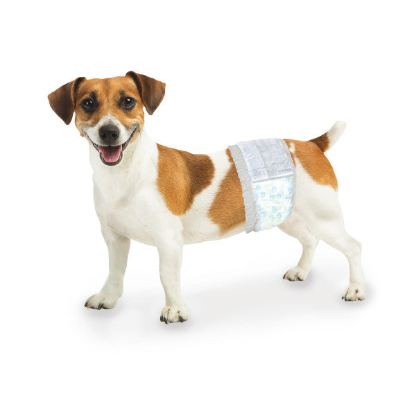 Four Paws Wee-Wee® Disposable Male Dog Wraps X-Small / Small (12 Count)