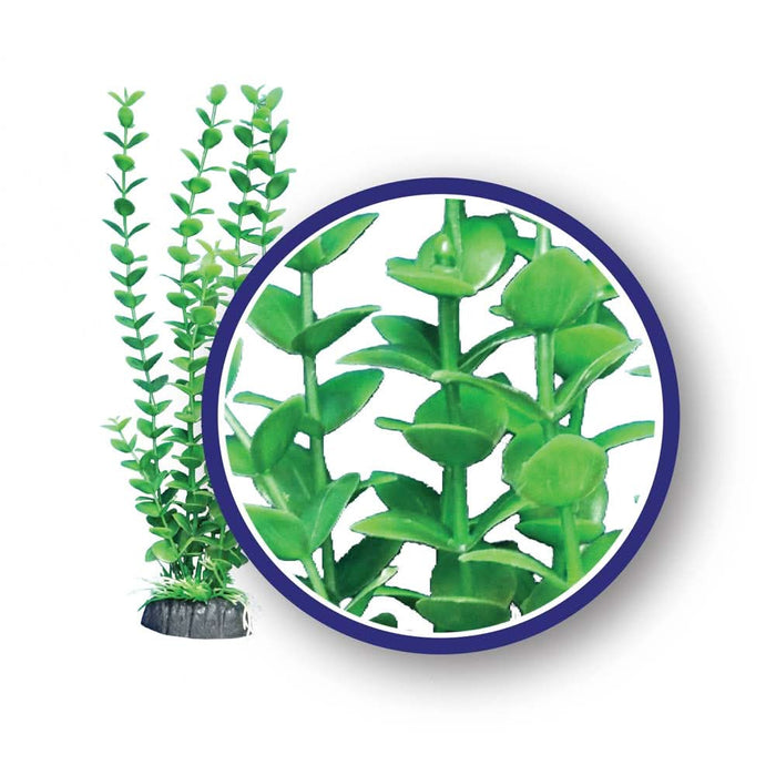 Weco Products Freshwater Series Bacopa Aquarium Plant Green 9 in