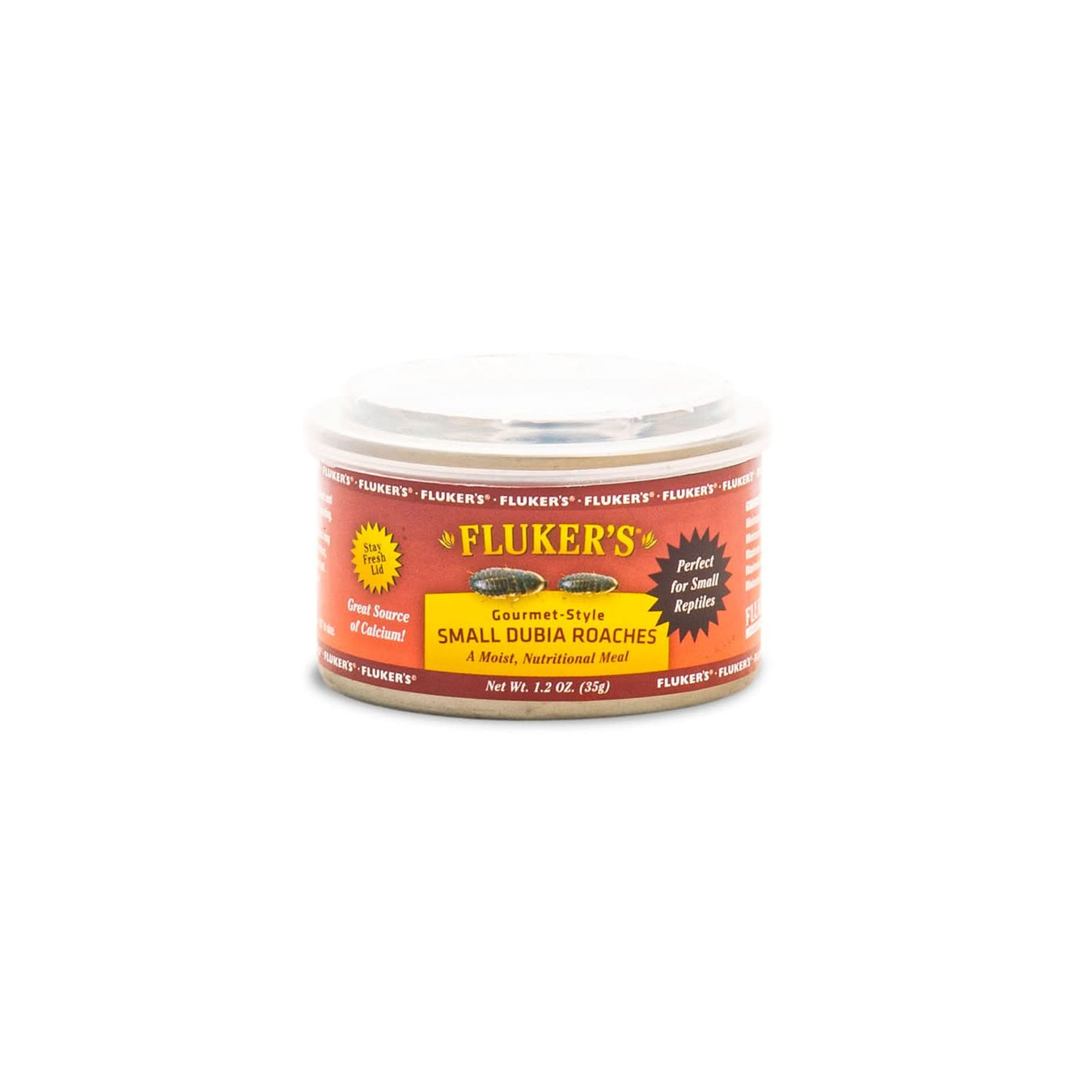 Reptile Food & Water Accessories