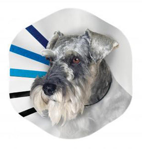 KONG E-Collar Clear/Blue/Black MD - Image 2