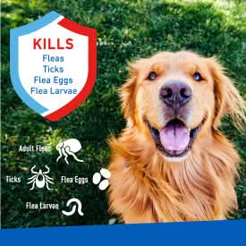 Adams Flea & Tick Spray 16 ounces