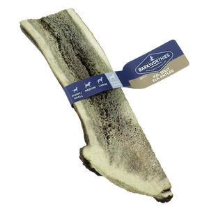 Barkworthies Split Elk Antler Dog Treat 2XL - Image 2