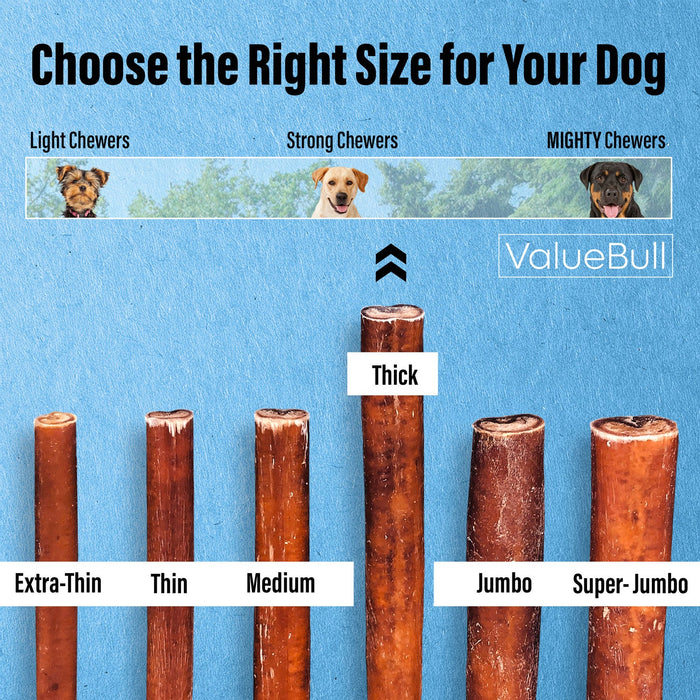 Value Pet Supplies ValueBull Bully Sticks for Large Dogs, Thick 12 Inch, 100 Count