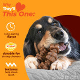 Nylabone Strong Chew Textured Ring Dog Chew Toy Made with Real Beef & Chicken X-Large (1 Count)