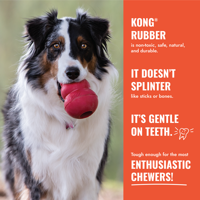 KONG Aqua Dog Toy LG - 2 - Image 10