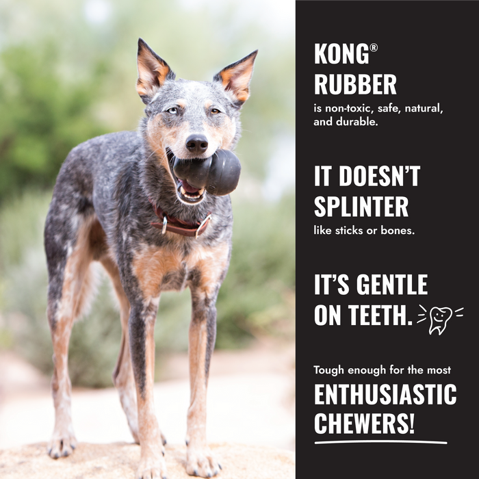 KONG Extreme Donut Dog Toy LG/XL - 11 - Image 13
