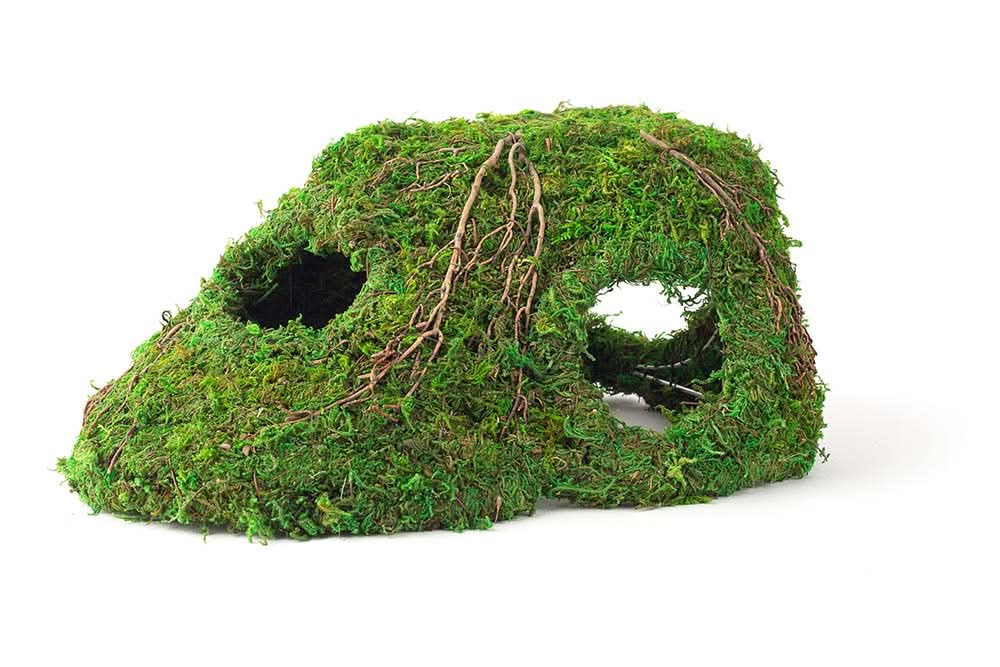 Galapagos Sapa Corner Hide Terrarium Hideaway Fresh Green 10 in