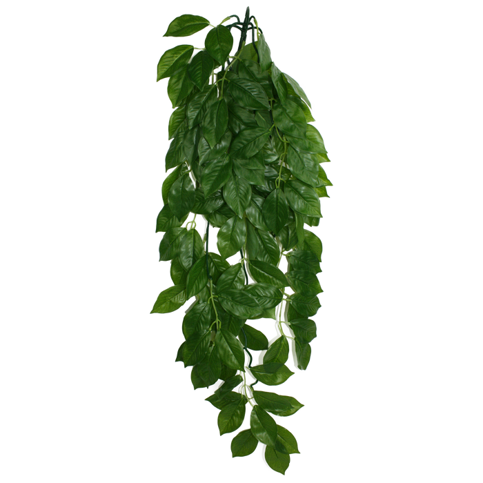 Komodo Green Leaf Hanging Plant LG 26in