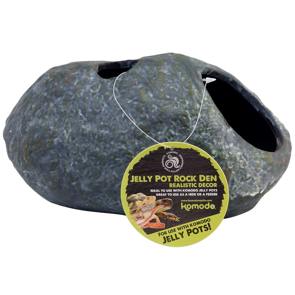 Reptile Clothes & Accessories