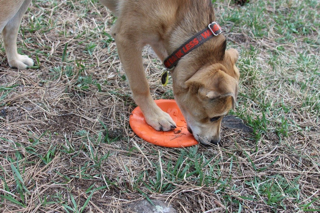 SodaPup Bottle Top Flyer Durable Rubber Retrieving Frisbee - Orange