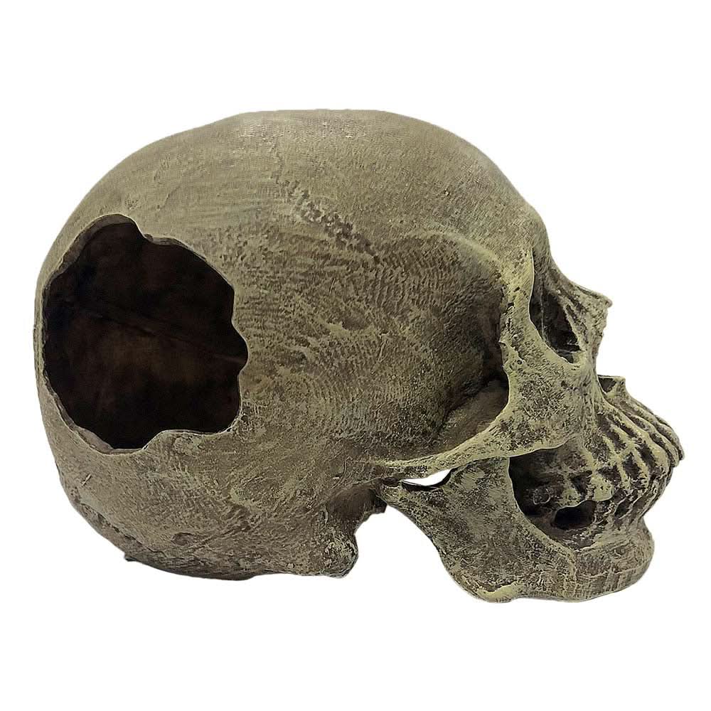 Halloween Special - Spooktacular Toys & Ornaments