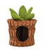 Max & Marlow Apple Novelty Cat Scratcher Plant - Image 2