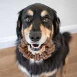 Nylabone Strong Chew Textured Ring Dog Chew Toy Made with Real Beef & Chicken X-Large (1 Count)