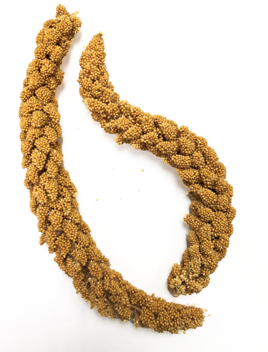 Volkman Seed Company Spray Millet Bird Treat 5 lbs