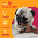 Nylabone Strong Chew Wishbone Dog Chew Toy Made with Real Bacon Small (1 Count)
