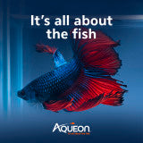 Aqueon PURE Betta Beads Black & White 8.8 Ounces