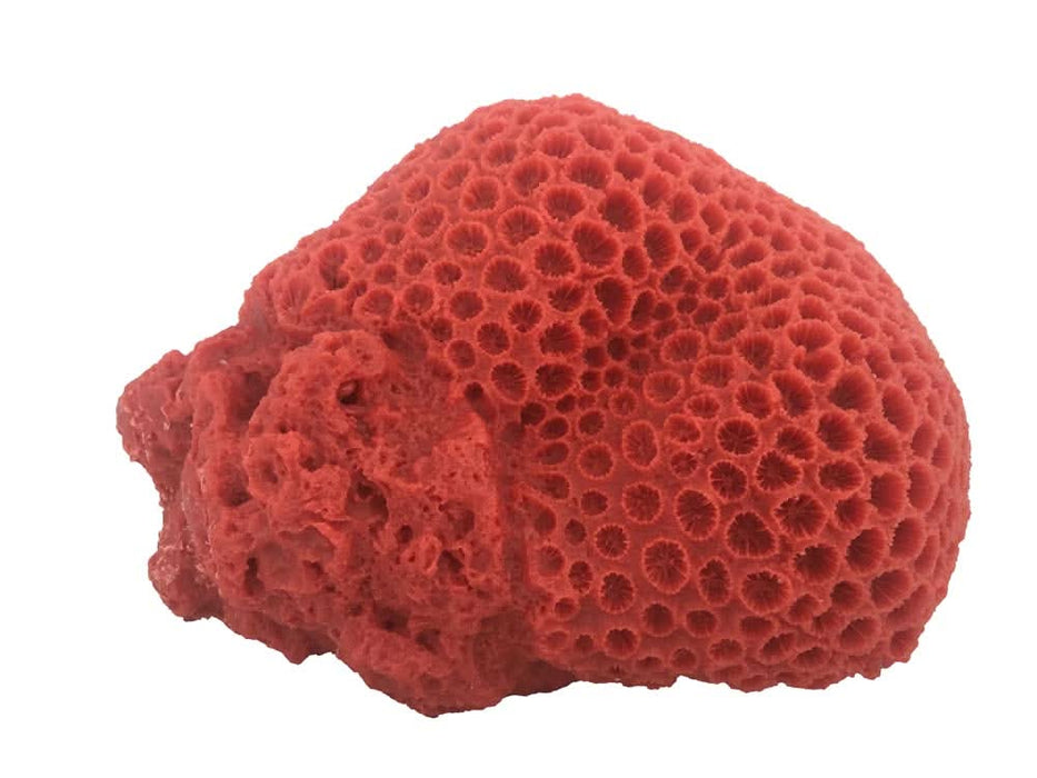 Weco Products South Pacific Coral Brain Ornament Orange LG