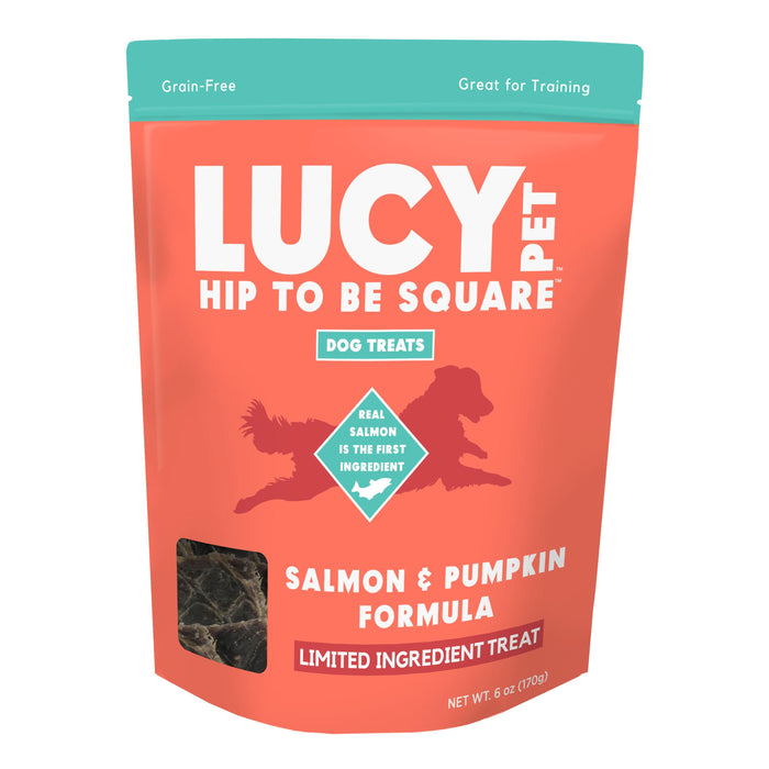 Lucy Pet Products Hip to Be Square Limited Ingredient Dog Treats Salmon & Pumpkin 6 oz