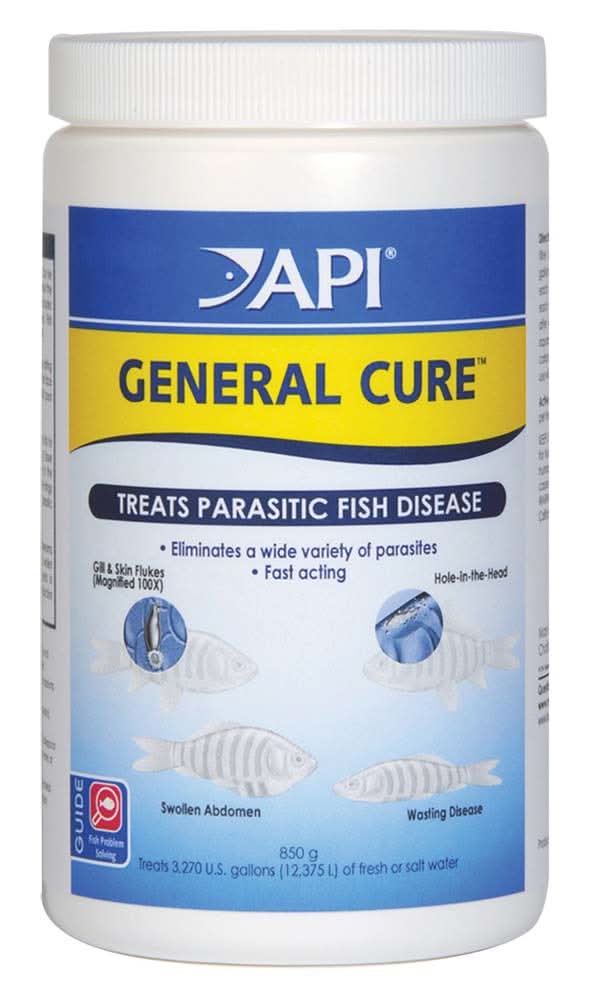 Fish Medication
