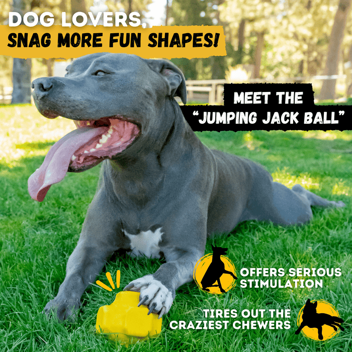 Monster K9 Dog Toys Giant Ring Ball