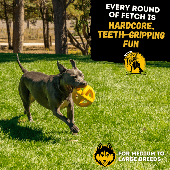 Monster K9 Dog Toys Giant Ring Ball