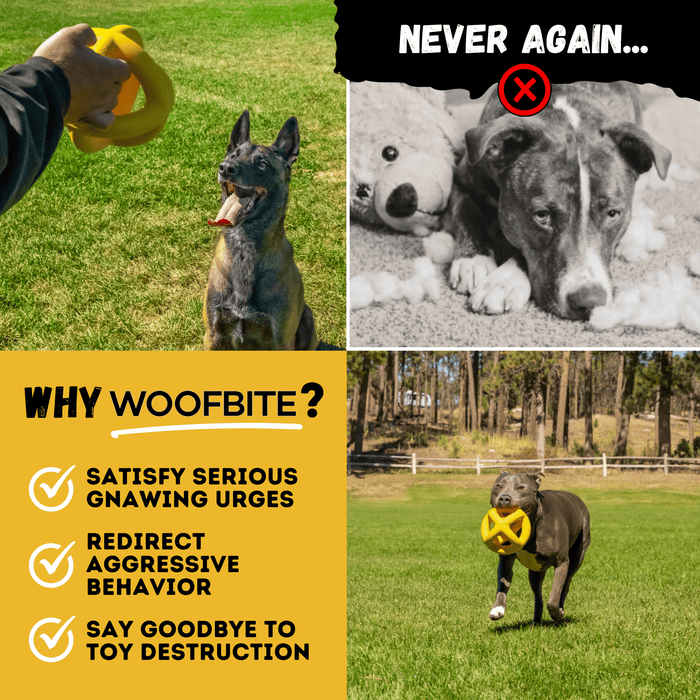 Monster K9 Dog Toys Giant Ring Ball