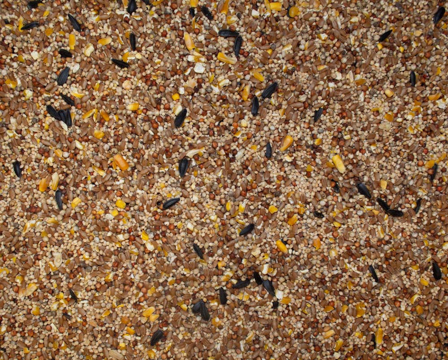 Volkman Seed Company Phoenix Wildbird Mixed Seed Food 40 lb