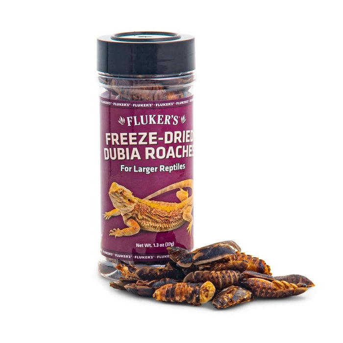 Fluker's Freeze-Dried Dubia Roaches 1.3oz