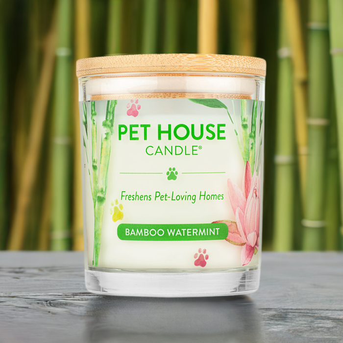 One Fur All Bamboo Watermint Candle