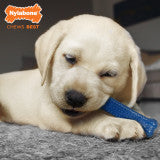 Nylabone Puppy Chew Starter Kit Chew Toy with Nubz Chew Treat Variety Small (1 Count)