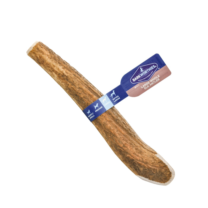 Barkworthies Whole Elk Antler Dog Treat LG - Image 2