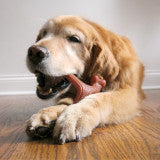 Nylabone Strong Chew Wishbone Dog Chew Toy Made with Real Bacon Large (1 Count)