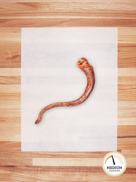 Farm Hounds Hog Tail Dog Treats - 8.5"