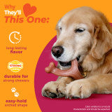 Nylabone Strong Chew Wishbone Dog Chew Toy Made with Real Bacon Large (1 Count)