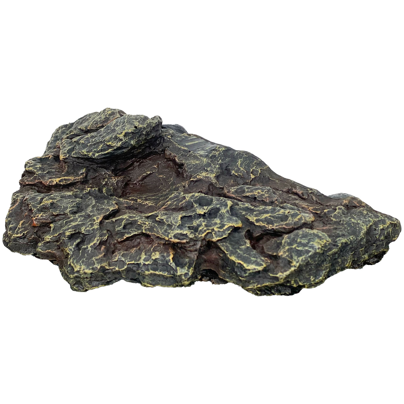 Reptile Food & Water Accessories