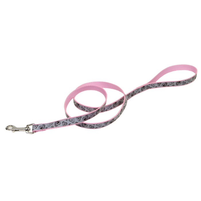 Lazer Brite Reflective Dog Leash Pink 5/8 in x 6 ft
