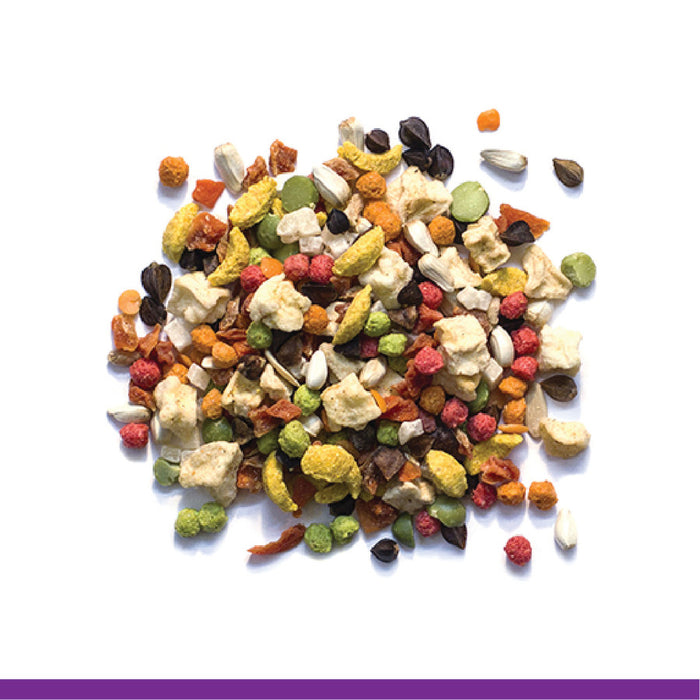 ZuPreem Pure Fun Bird Food Medium Birds - Cockatiels, Lovebirds, Small Conures, Quakers 2lb