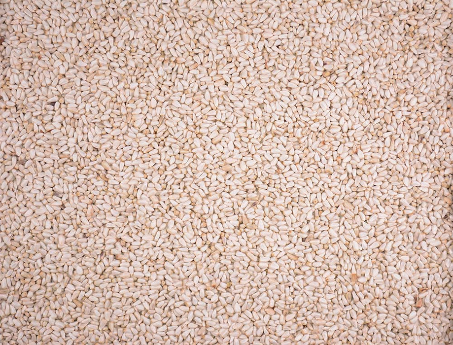 Volkman Seed Company Winner's Cup Single Seed Safflower Seed Bird Food 20 lb