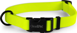 Carnival Biothane Dog Collar