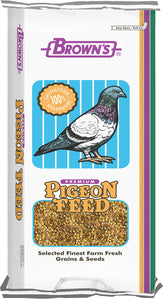 Park Popcorn Pigeon Food