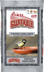 Shafer Striped Sunflower